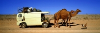 The Oodnadatta Track