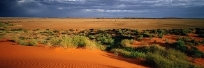Cordillo Downs