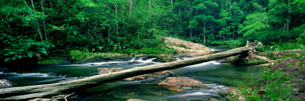 Rocky Creek