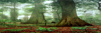 Warbler's Nest and Giant Stingers