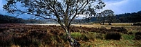 Barrington Tops