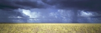 Storm Over Barkly Tablelands
