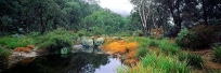 Alpine Pool