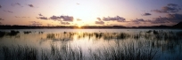 Freshwater Lake